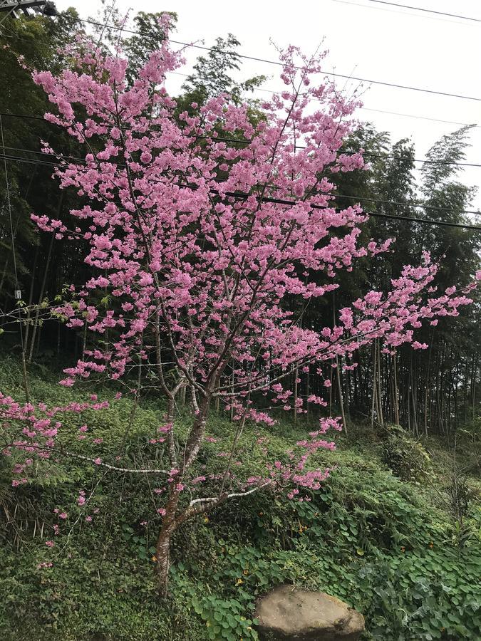 Zhu Yuan Homestay Fenchihu Exteriér fotografie